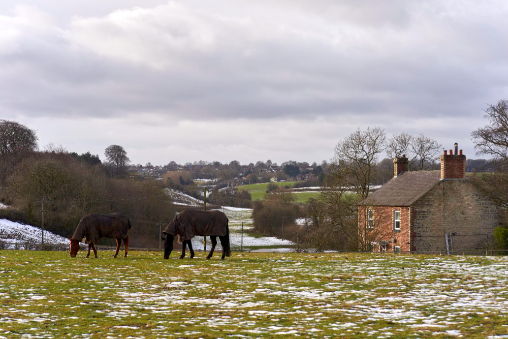 Farm
